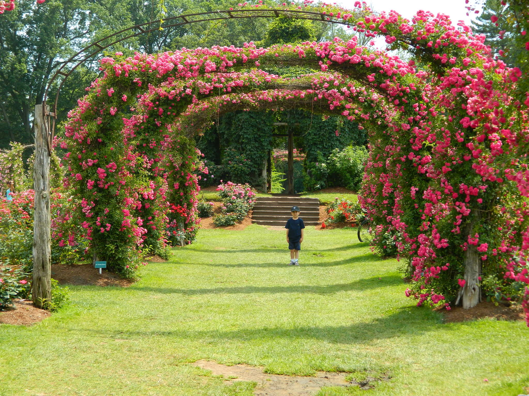 Elizabeth Park West Hartford CT The Flowers Will Soon