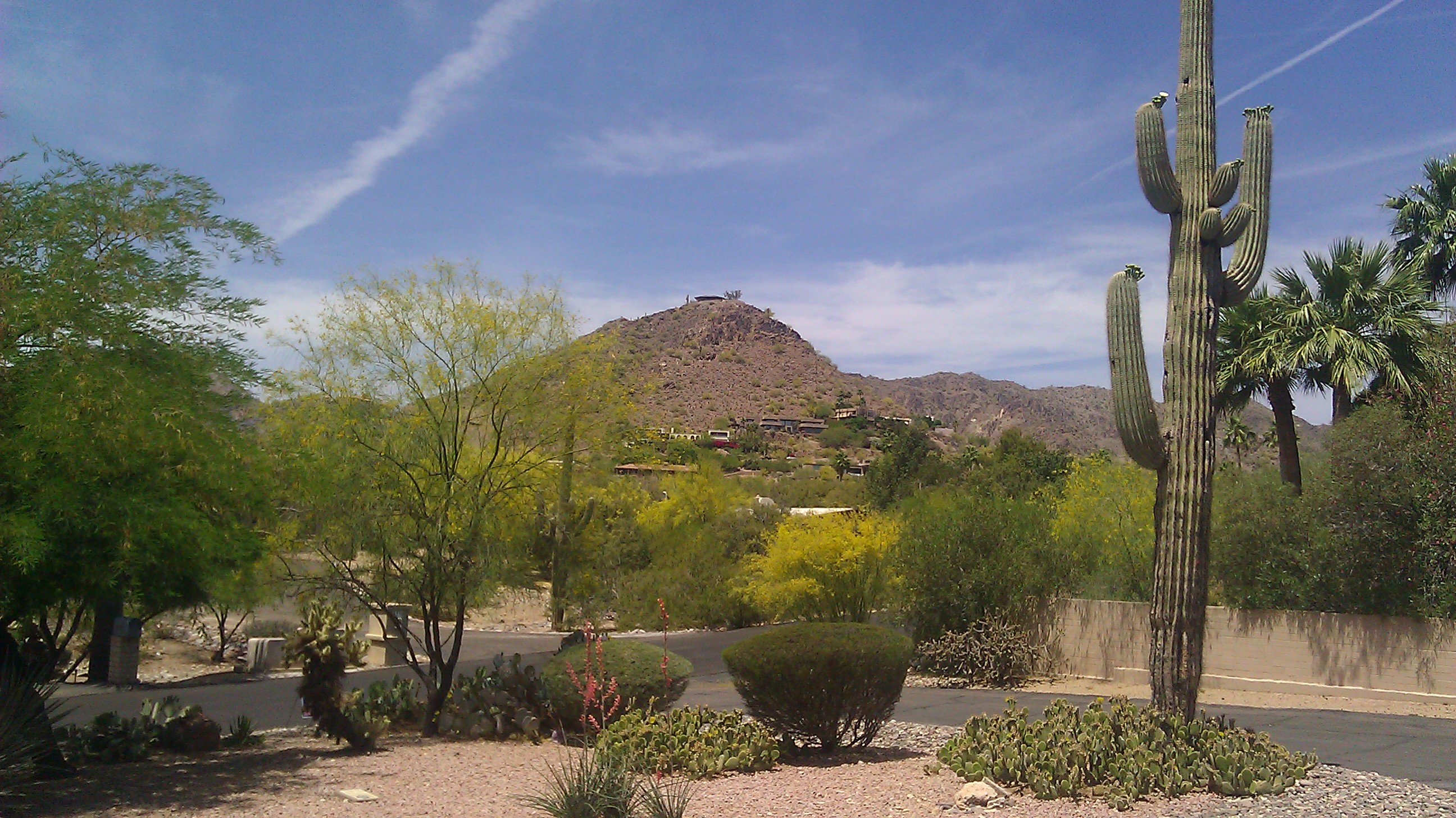 OPEN HOUSE Paradise Valley AZ Lowest Priced 5 Bedroom on an Acre