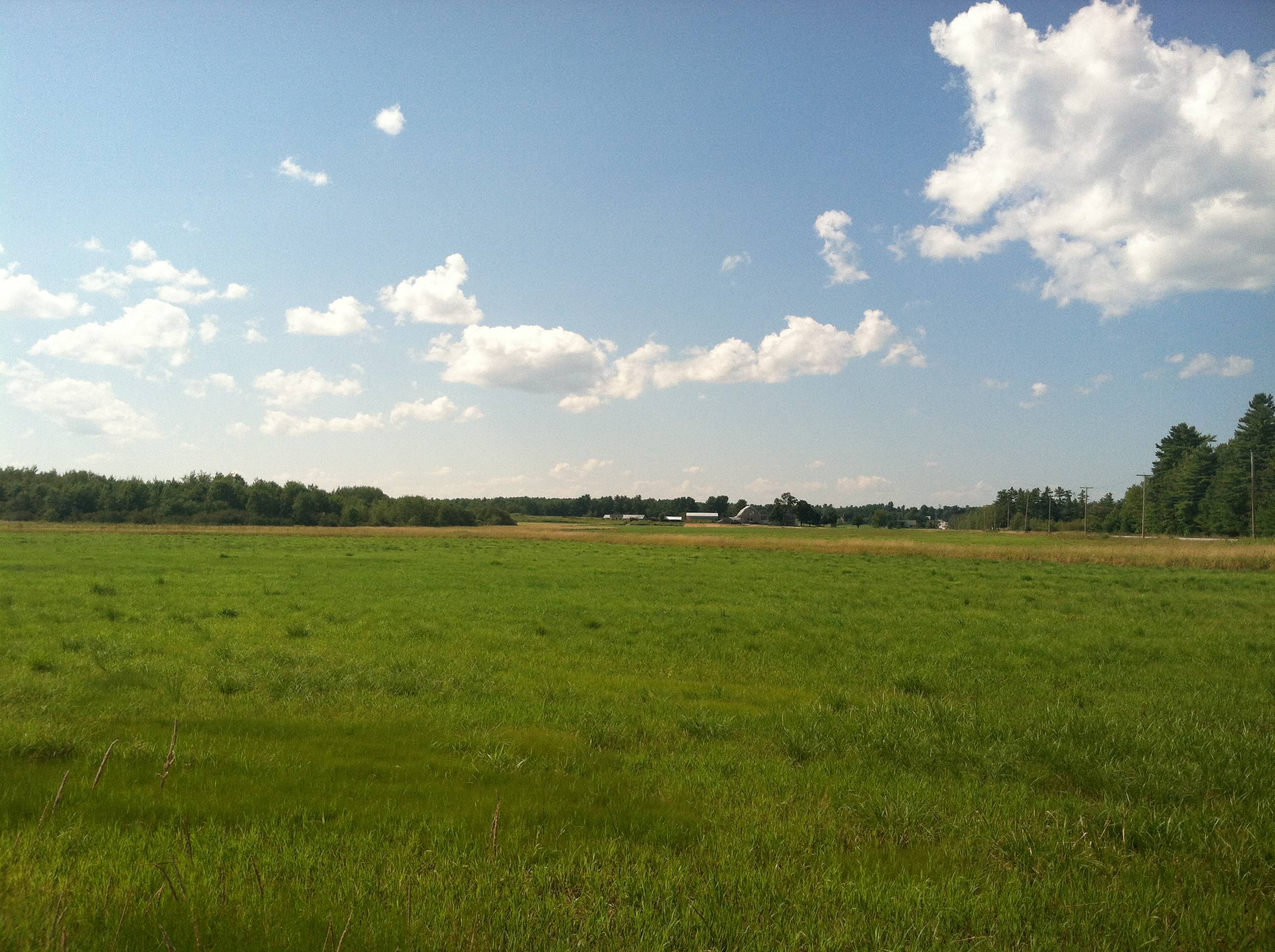 Land For Sale under 50K in Buxton, ME