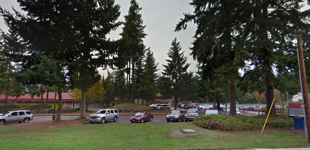 Homes Near Picnic Point Elementary School in WA