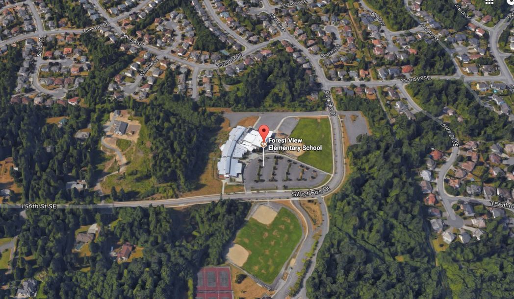 Homes Near Forest View Elementary School in WA