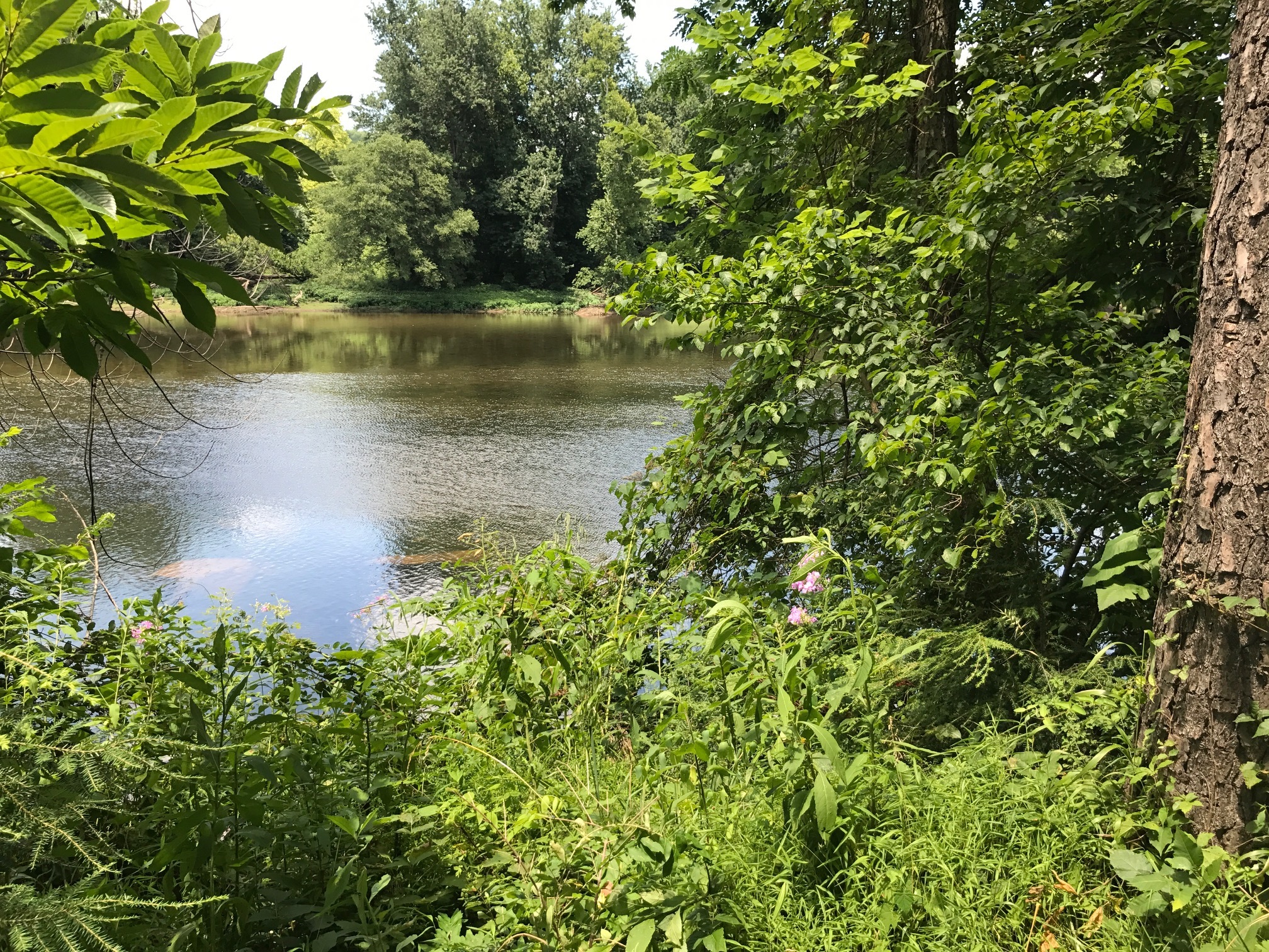 Greenbrier River Waterfront Property Log Cabin for Sale