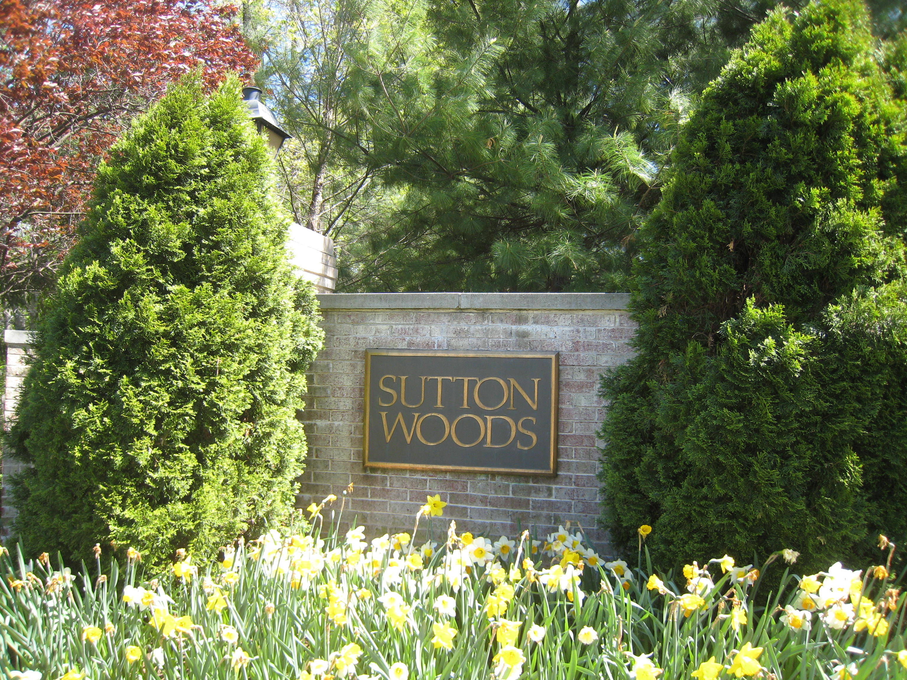 MARKET UPDATE Sutton Woods Condos Chatham,NJ