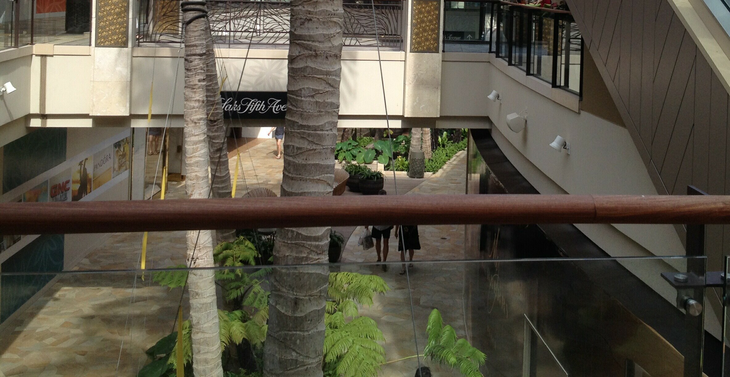 Growing Morel Mushrooms For Profit How Do Dollar Stores Make A Profit