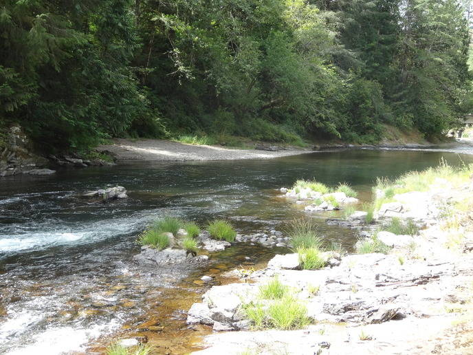 2 acres on KALAMA RIVER FLY FISHERMAN'S DREAM!