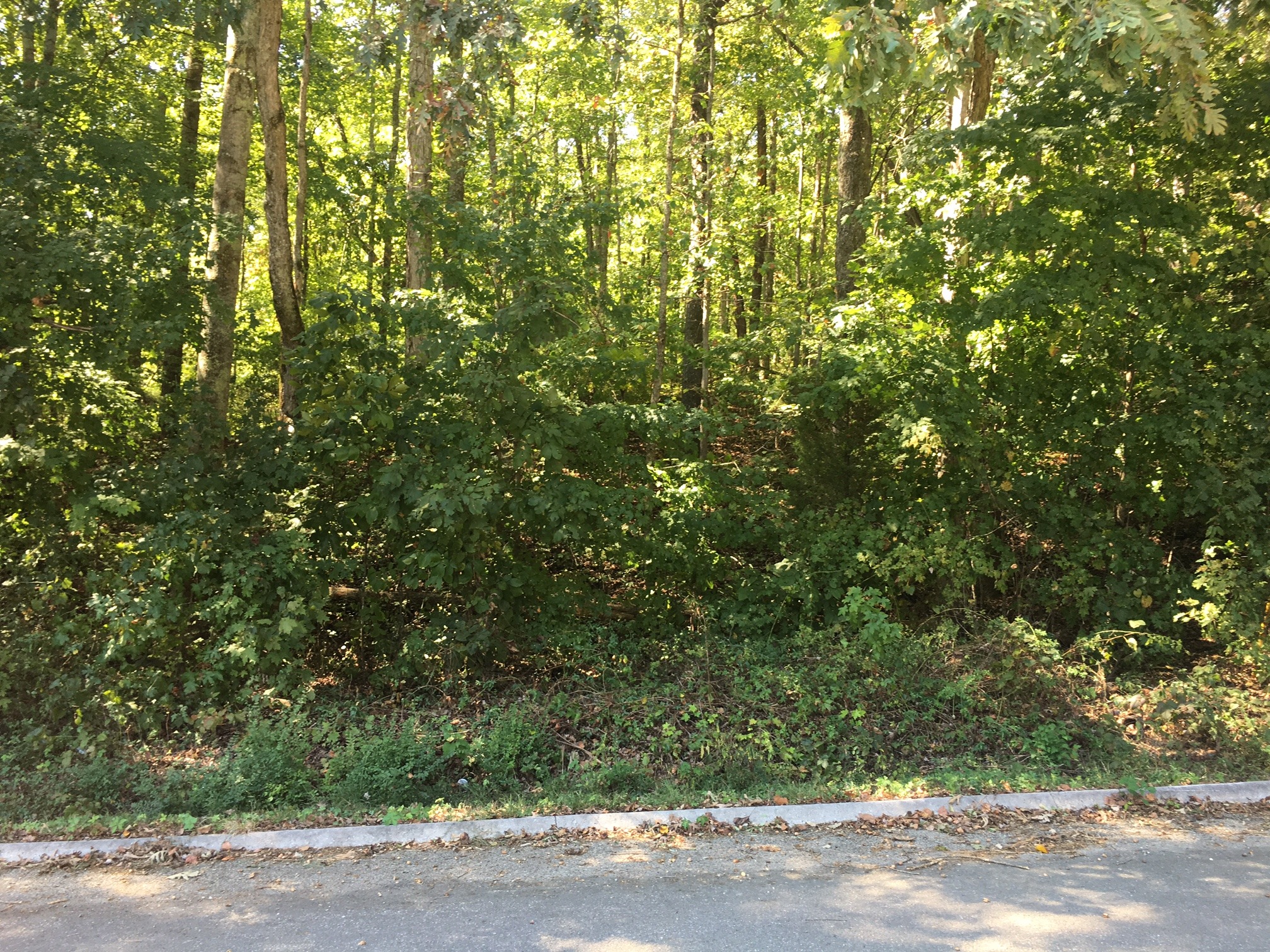 Lot 5 Clark Lane, Powell, TN