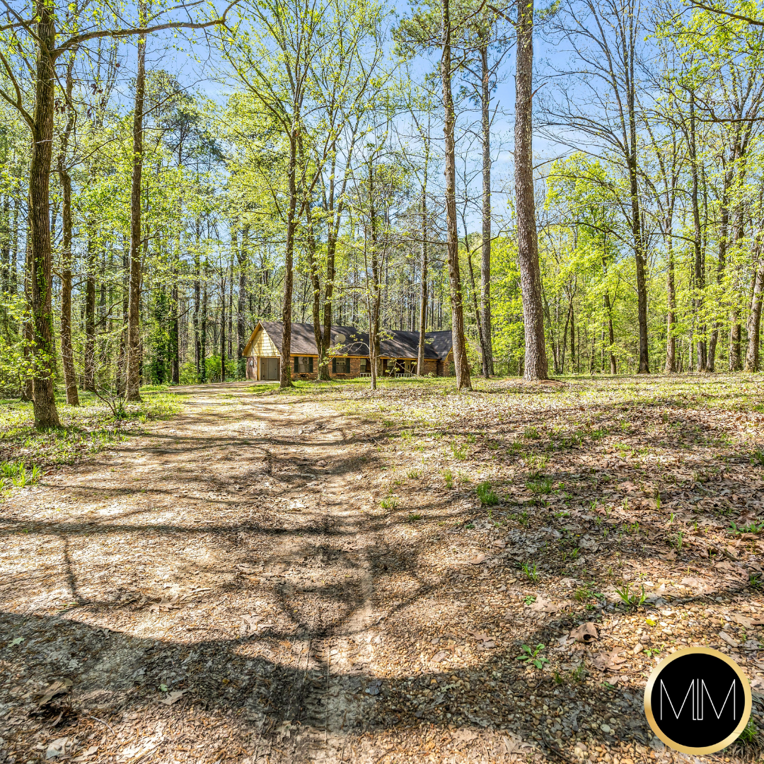 🌳 Nature Lovers Retreat 🌳 132 Valley View Rd, Starkvi