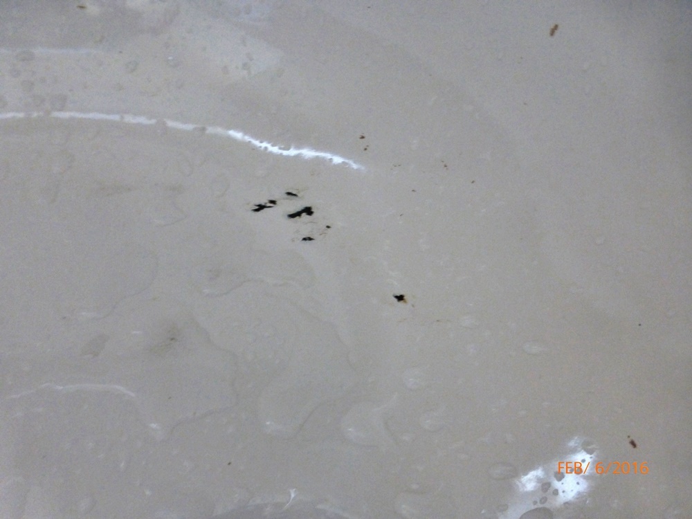 Porcelain Chips In The Bath Tub