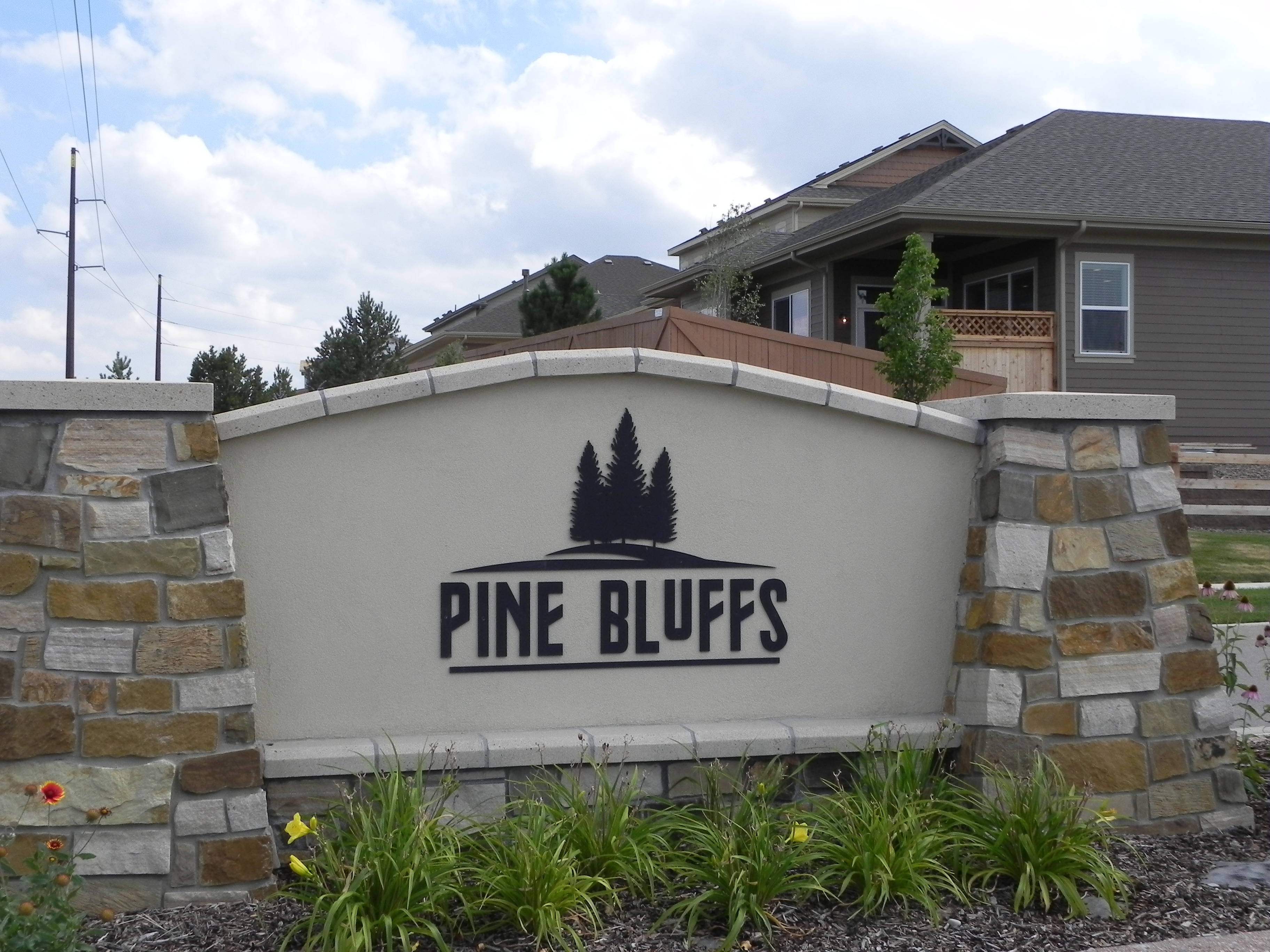 Homes for Sale Pine Bluffs in Parker CO