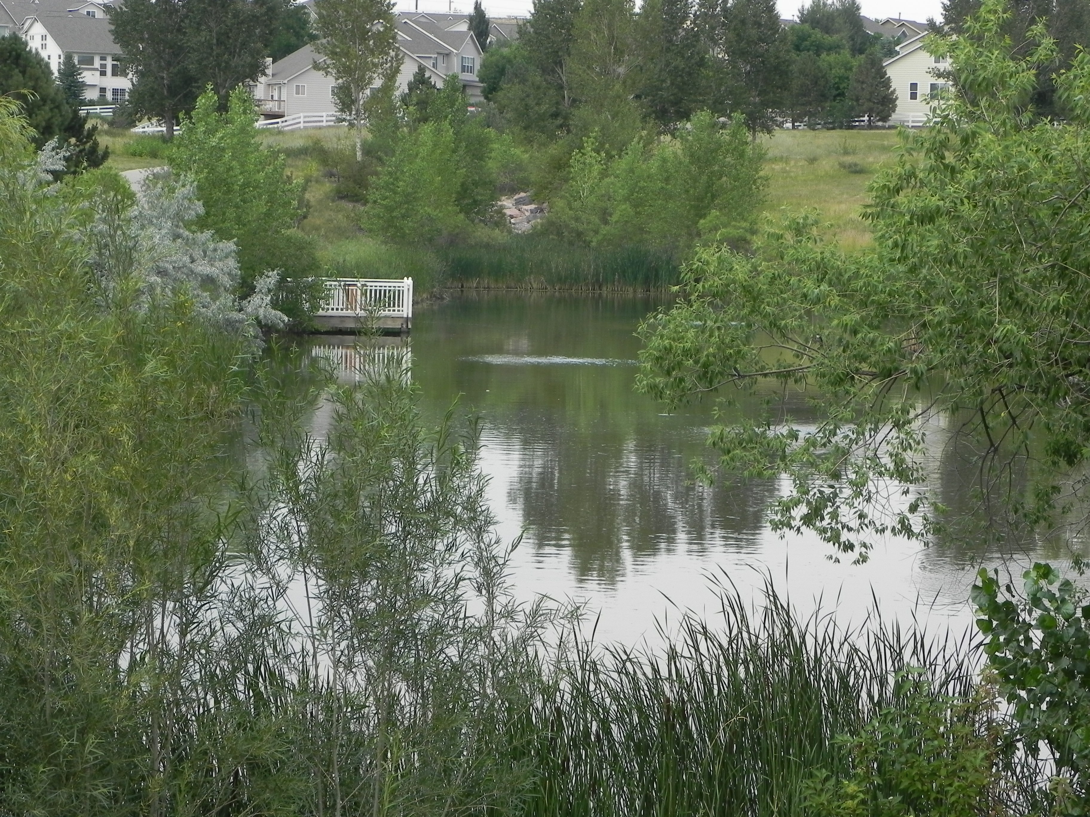 Greenfield Aurora, homes for sale in Greenfield