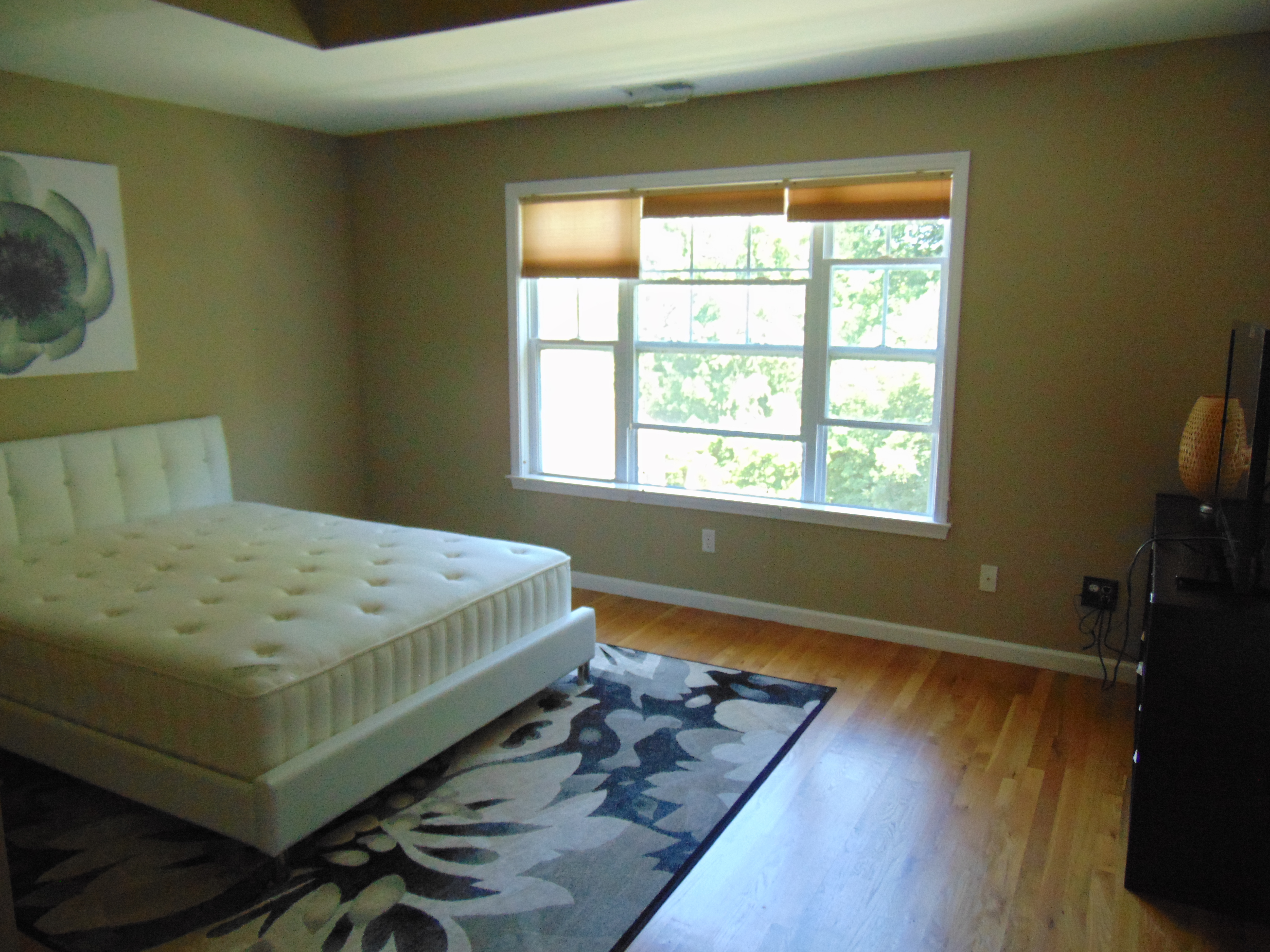 Premium Leasing Opportunity at Woodland HillsDanbury,C