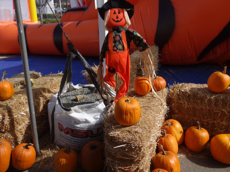 Halloween Pumpkin Patches in Carlsbad California and Nearby