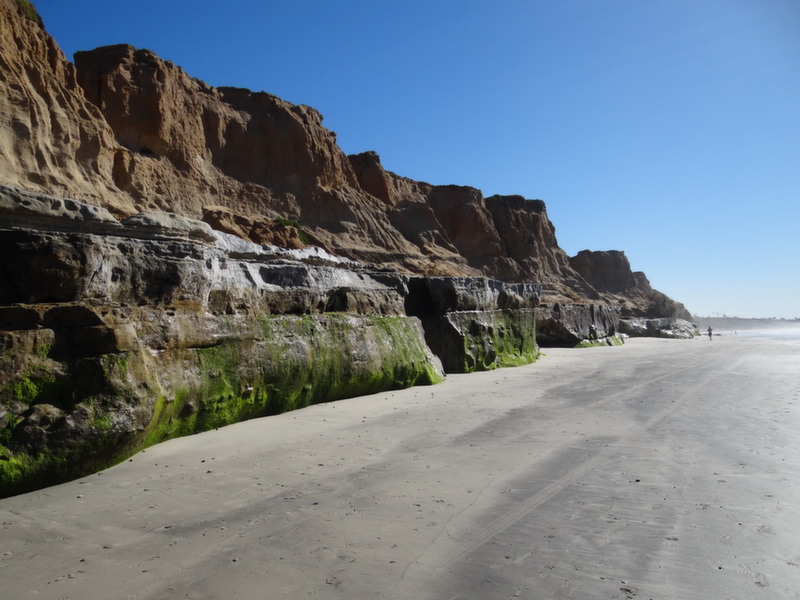 A Winter Walk on Terramar Beach in Carlsbad