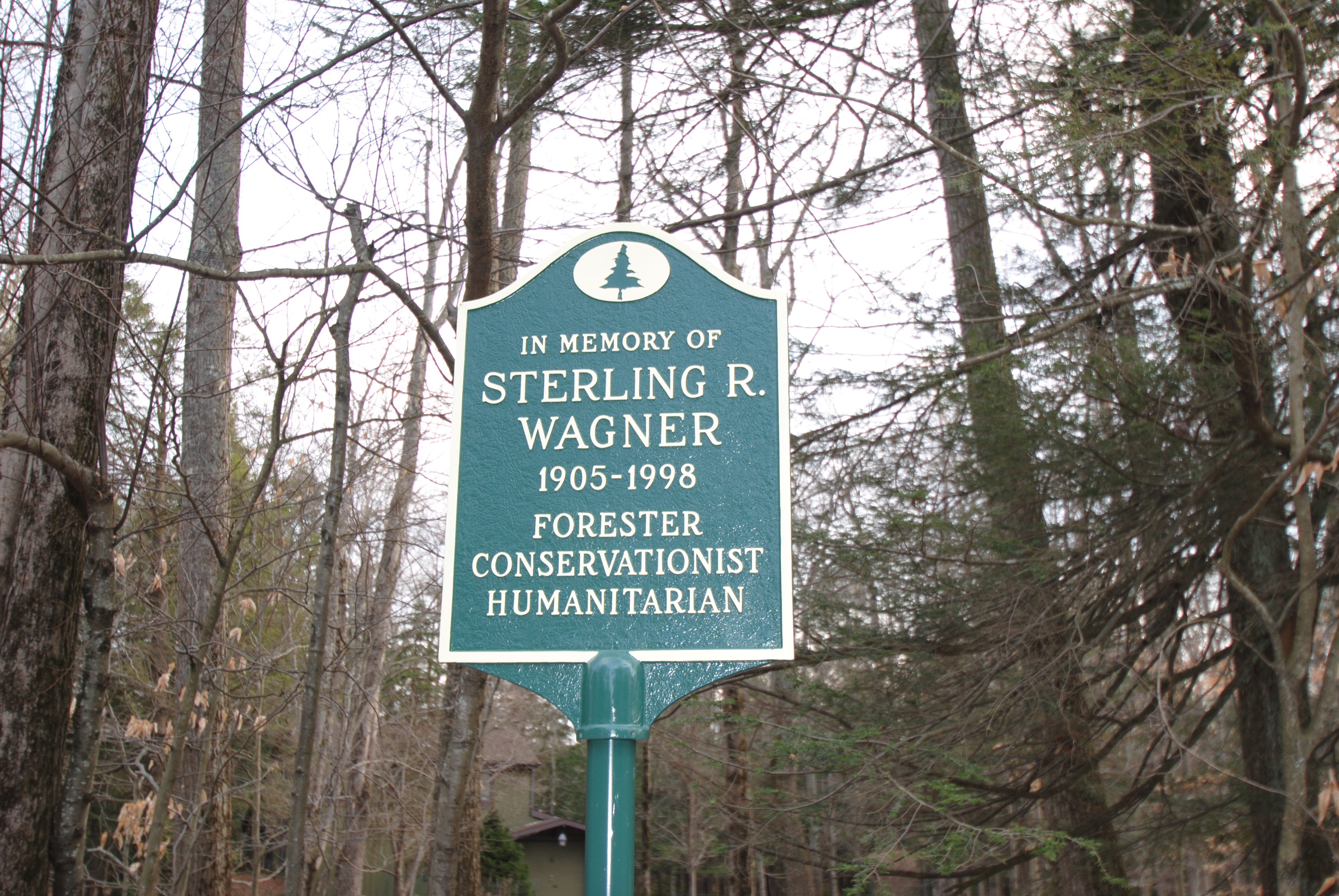 Lots Over 2 Acres Available in Wagner Forest Park!