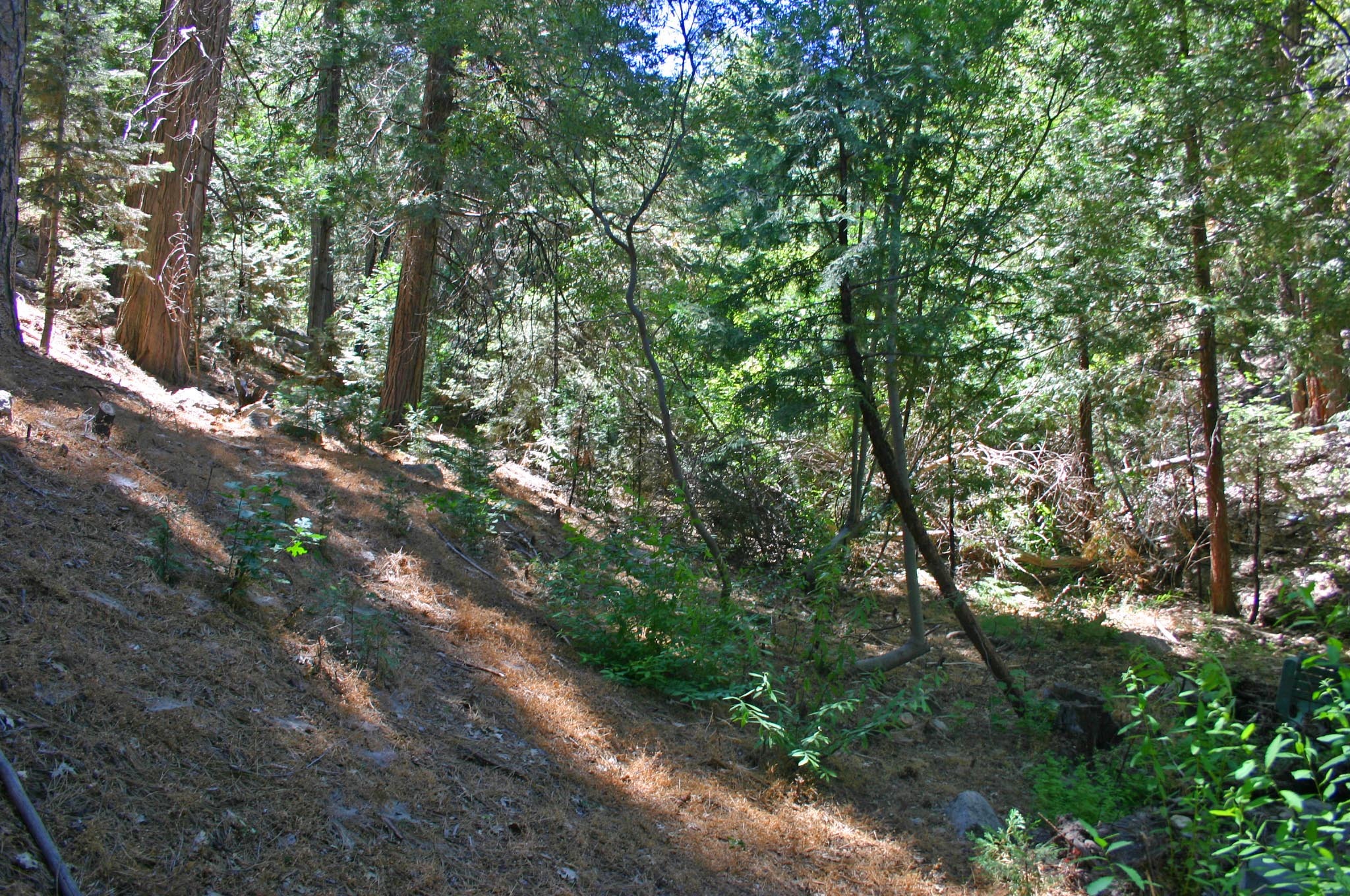 Lake Arrowhead Land Build or Use for Lake Rights