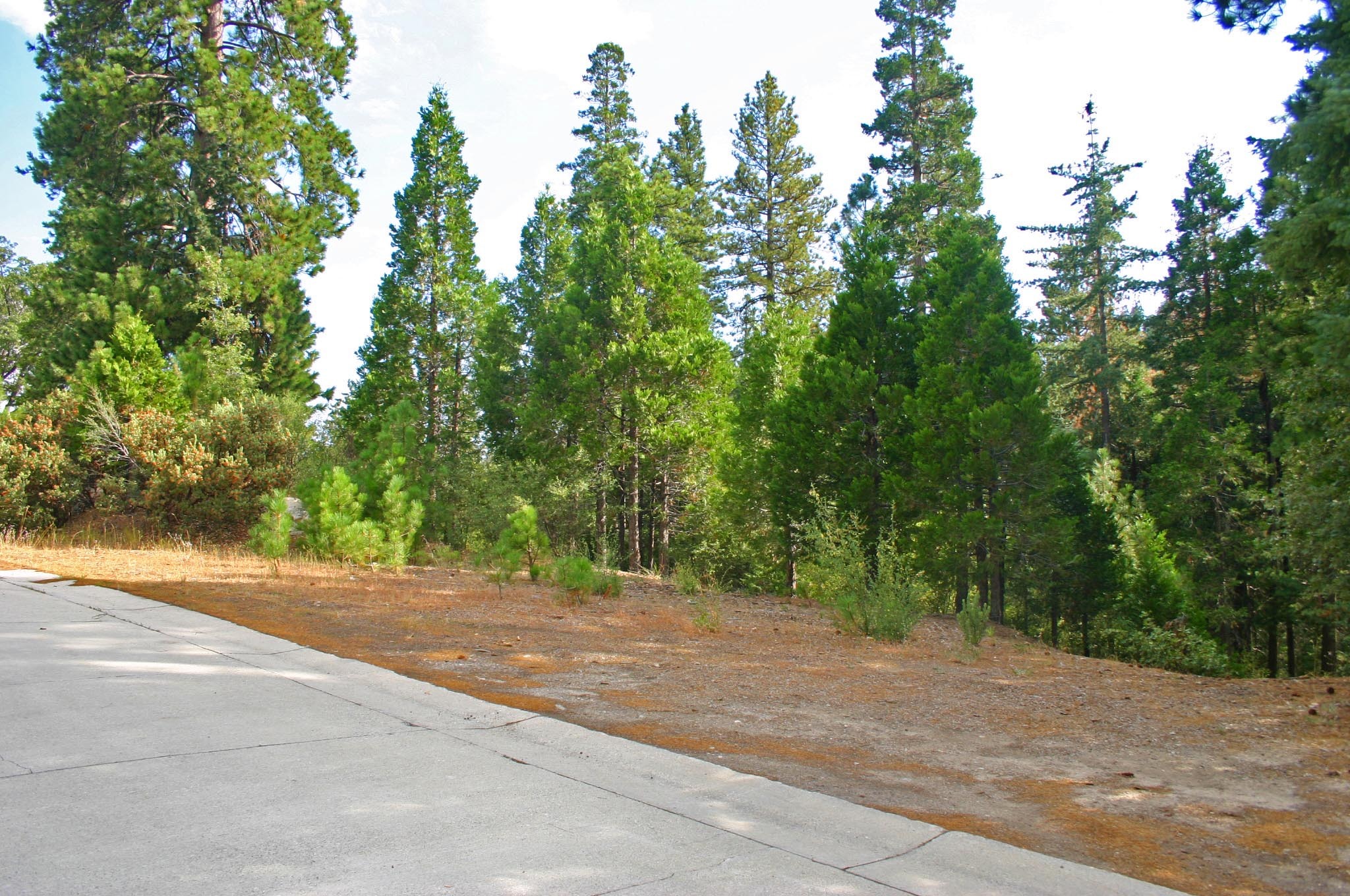 Lake Arrowhead Condo Complex Land for Sale 19,000ea