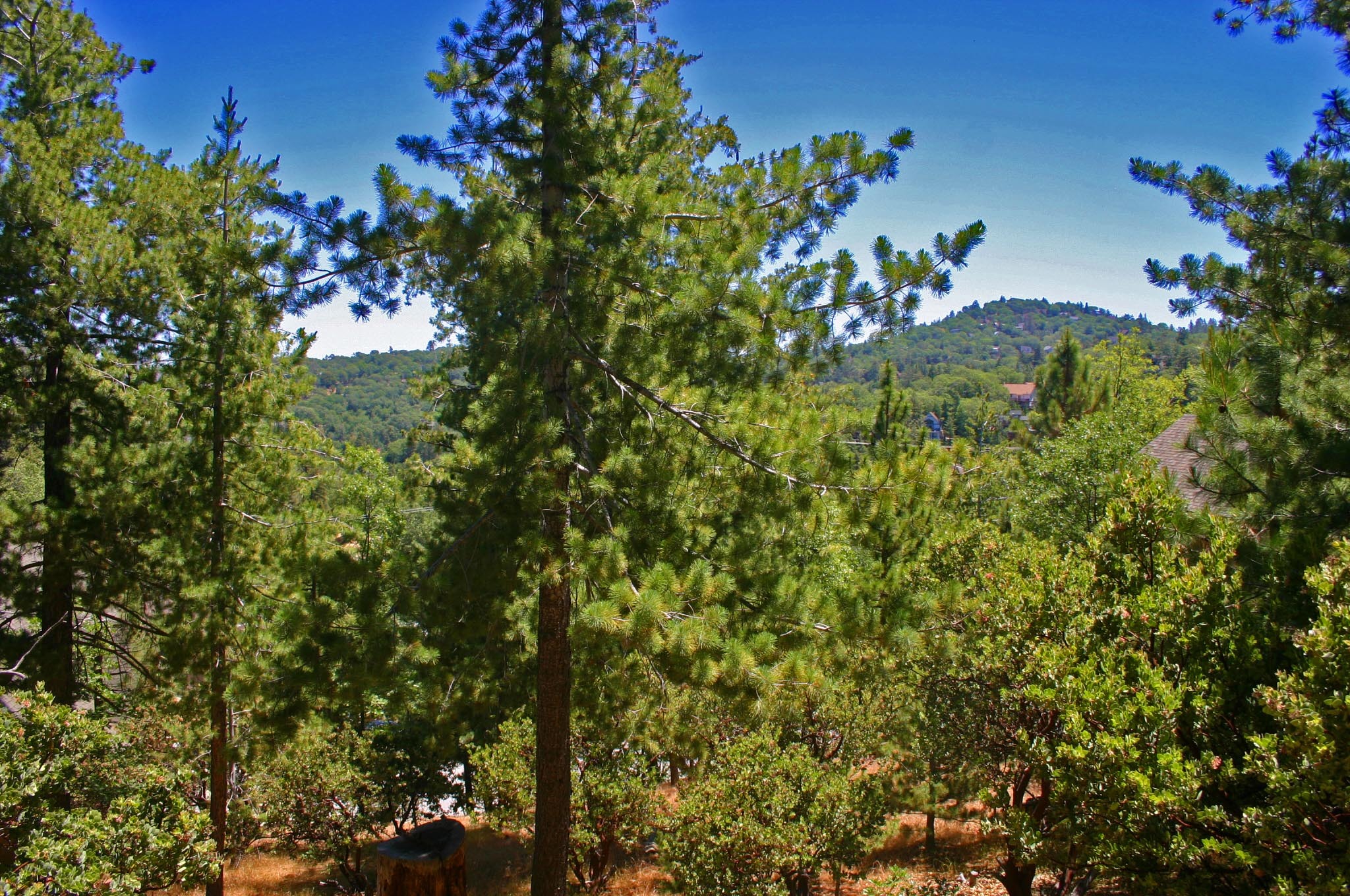 Close to Tavern Bay Dual Access Lake Arrowhead Lot