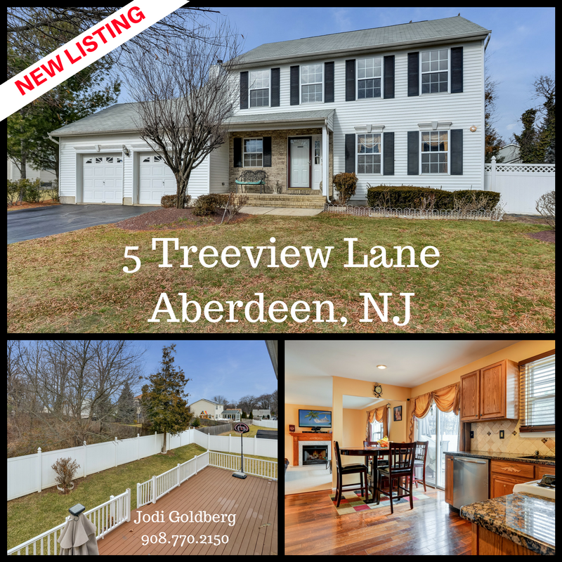 NEW LISTING! 5 Treeview Lane Aberdeen, NJ