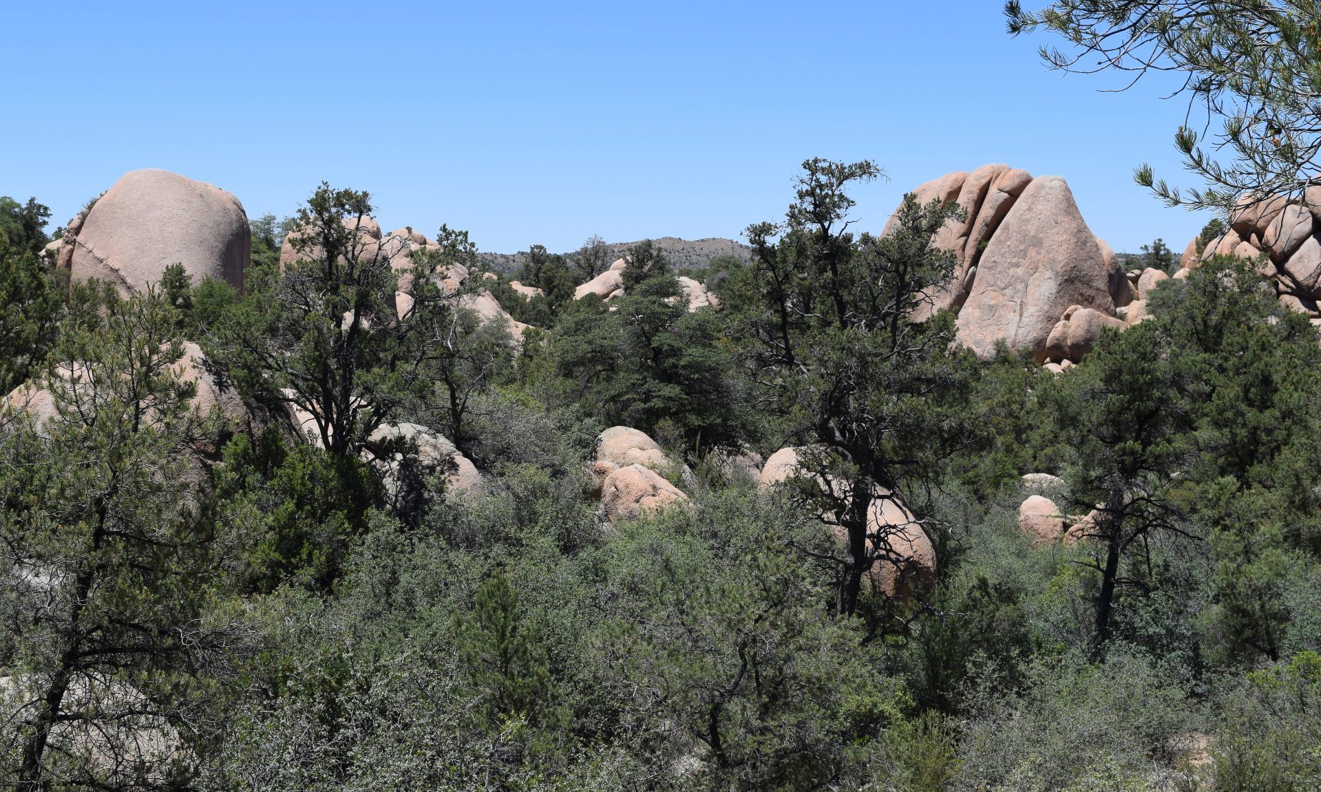 Home with Boulders for Walls Bob Massi, boulder home