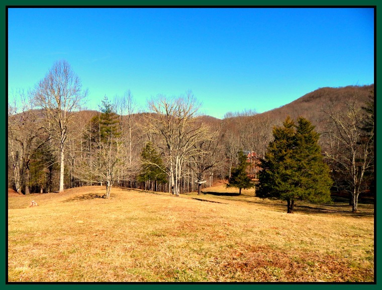 408 Turkey Chase Lane Franklin, NC 28734 Home for Sal