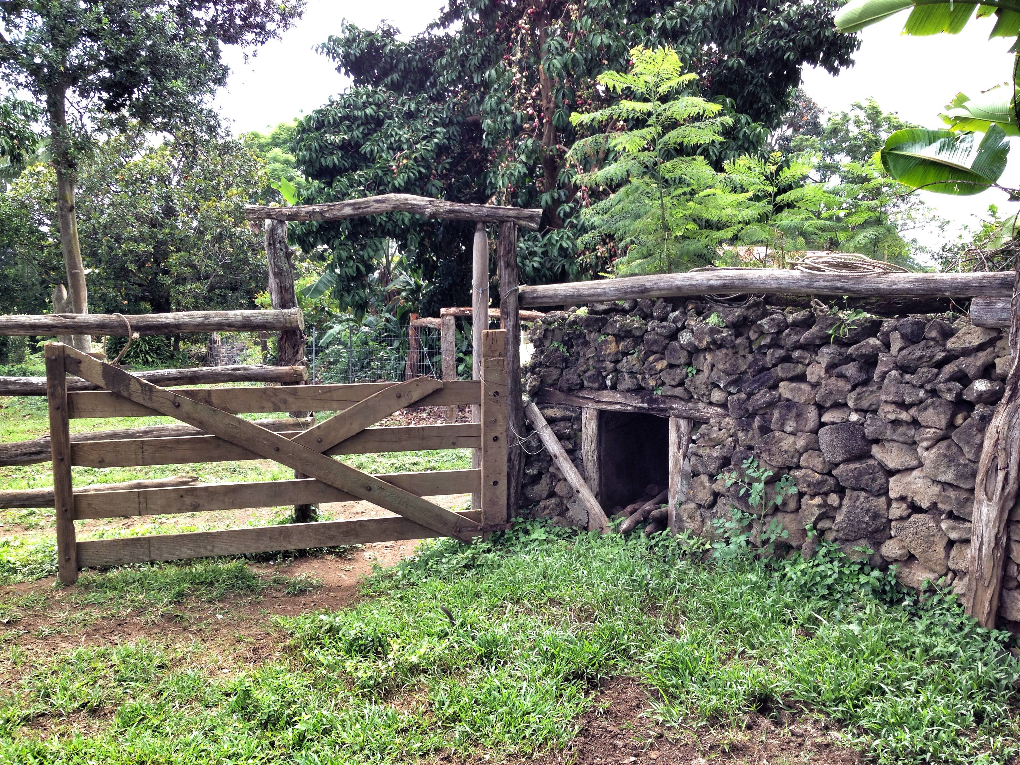 What Is The Meaning of 808? Hawaii area code and Aloha