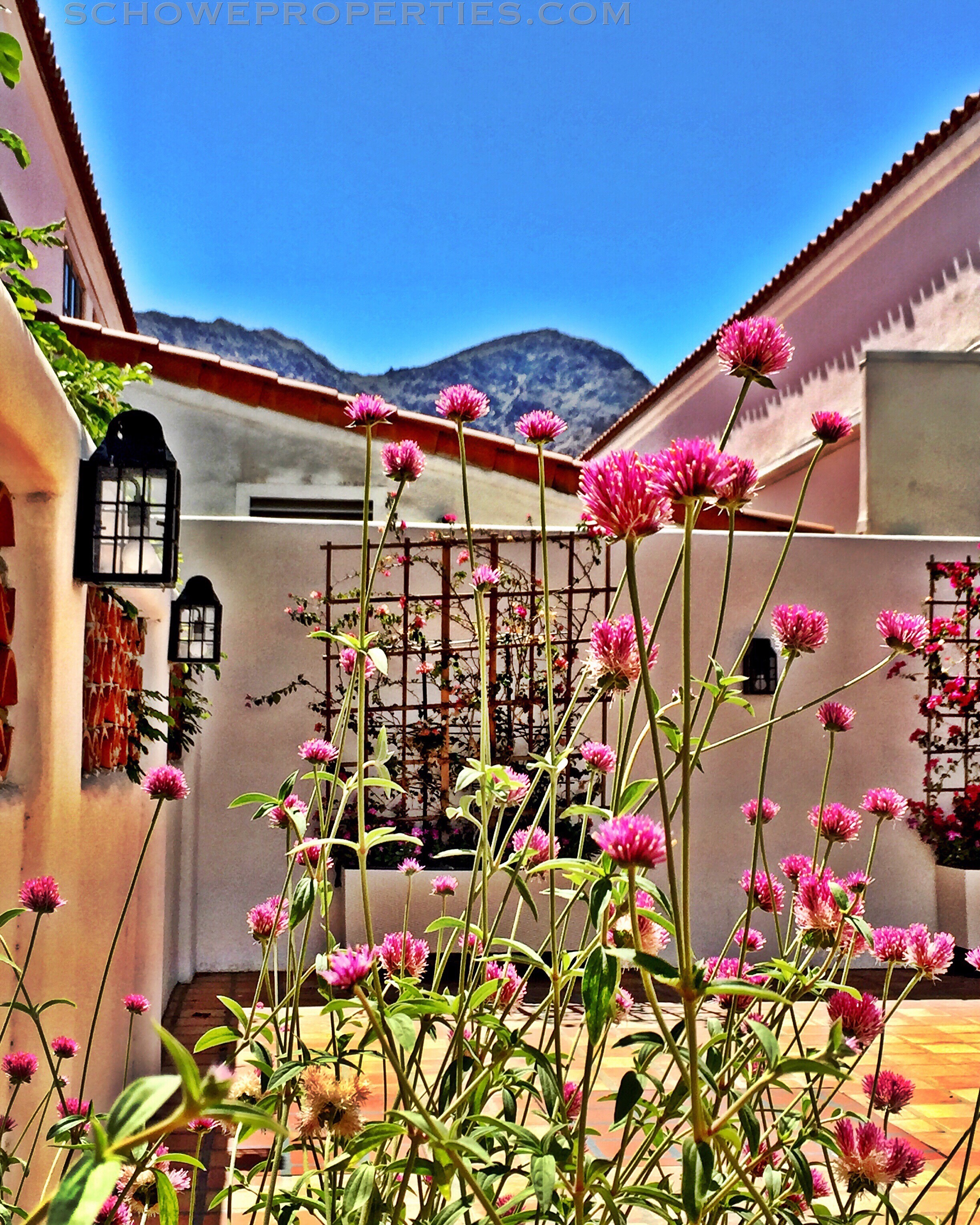 Do you Love Where you Live? I love La Quinta, CA!