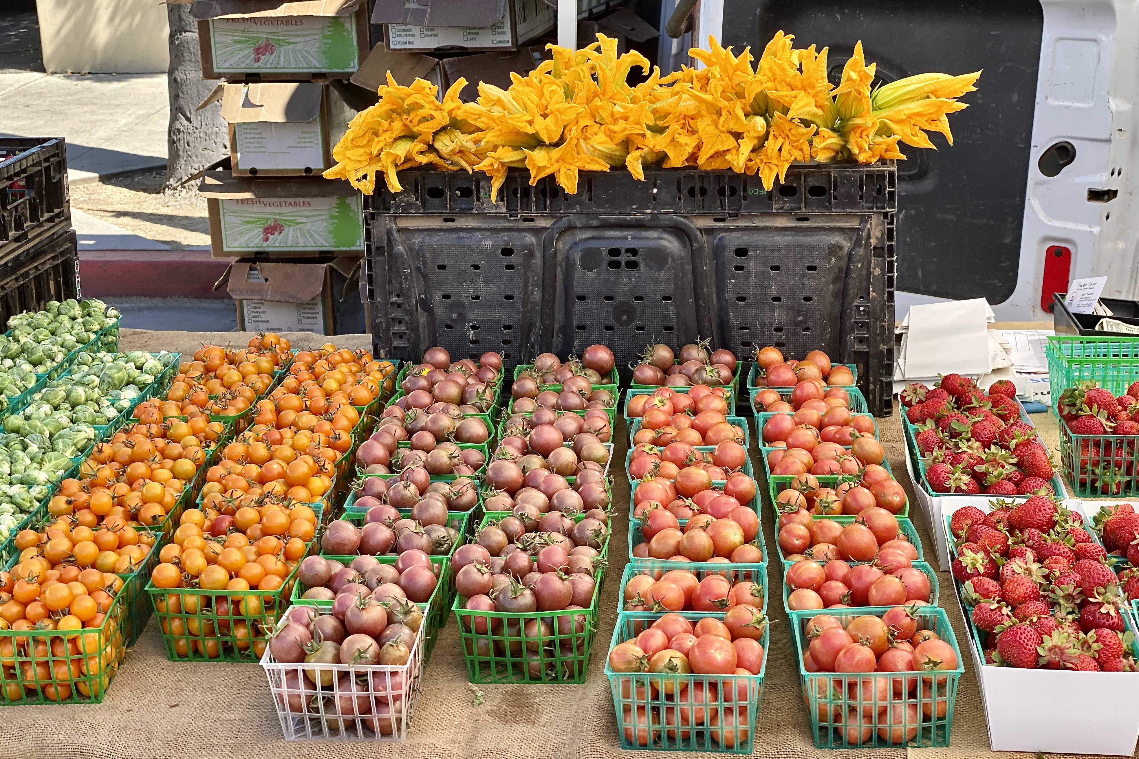 Friday Photo Carpinteria Farmers Market!
