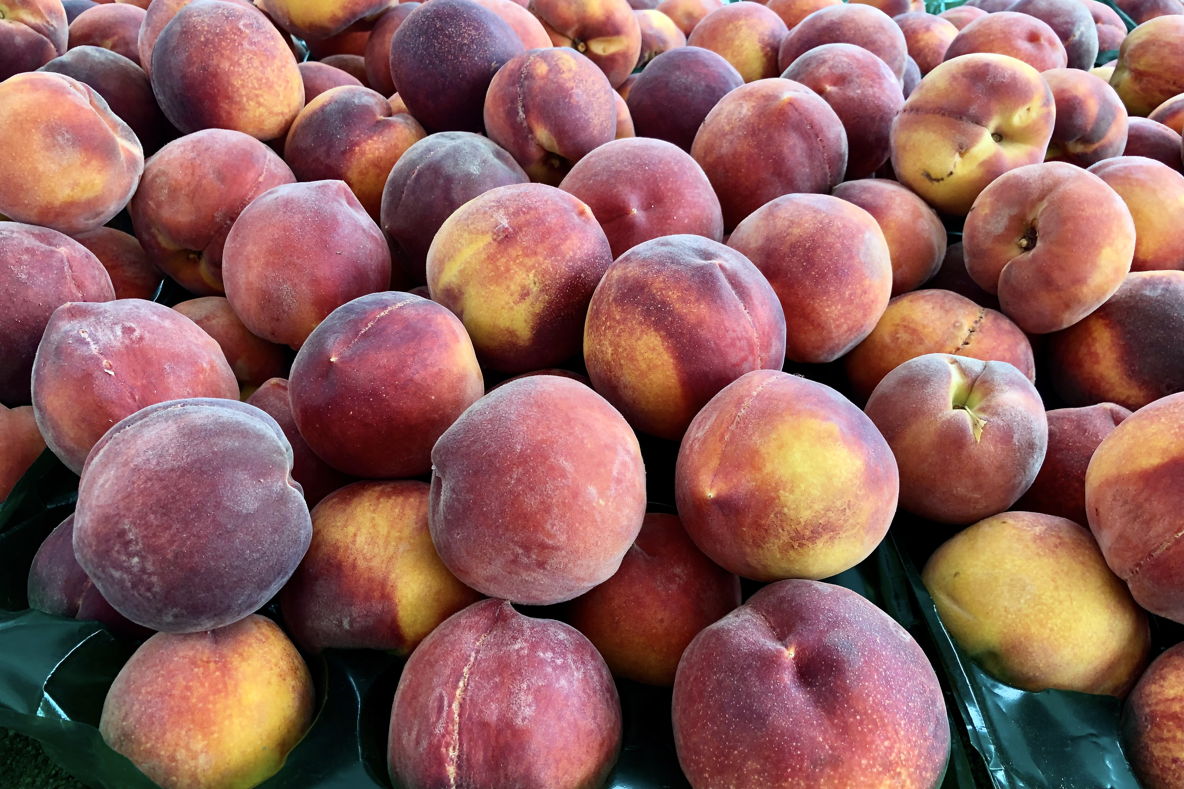 Saturday Smiles Stone Fruits In Season Now!
