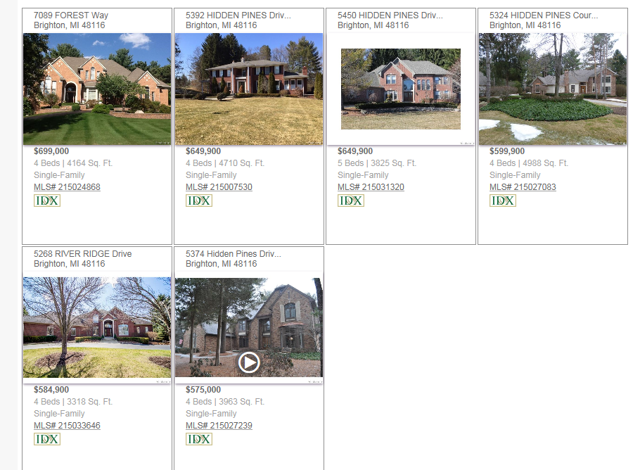 Pine Creek Ridge Sub Homes for Sale in Brighton Michiga