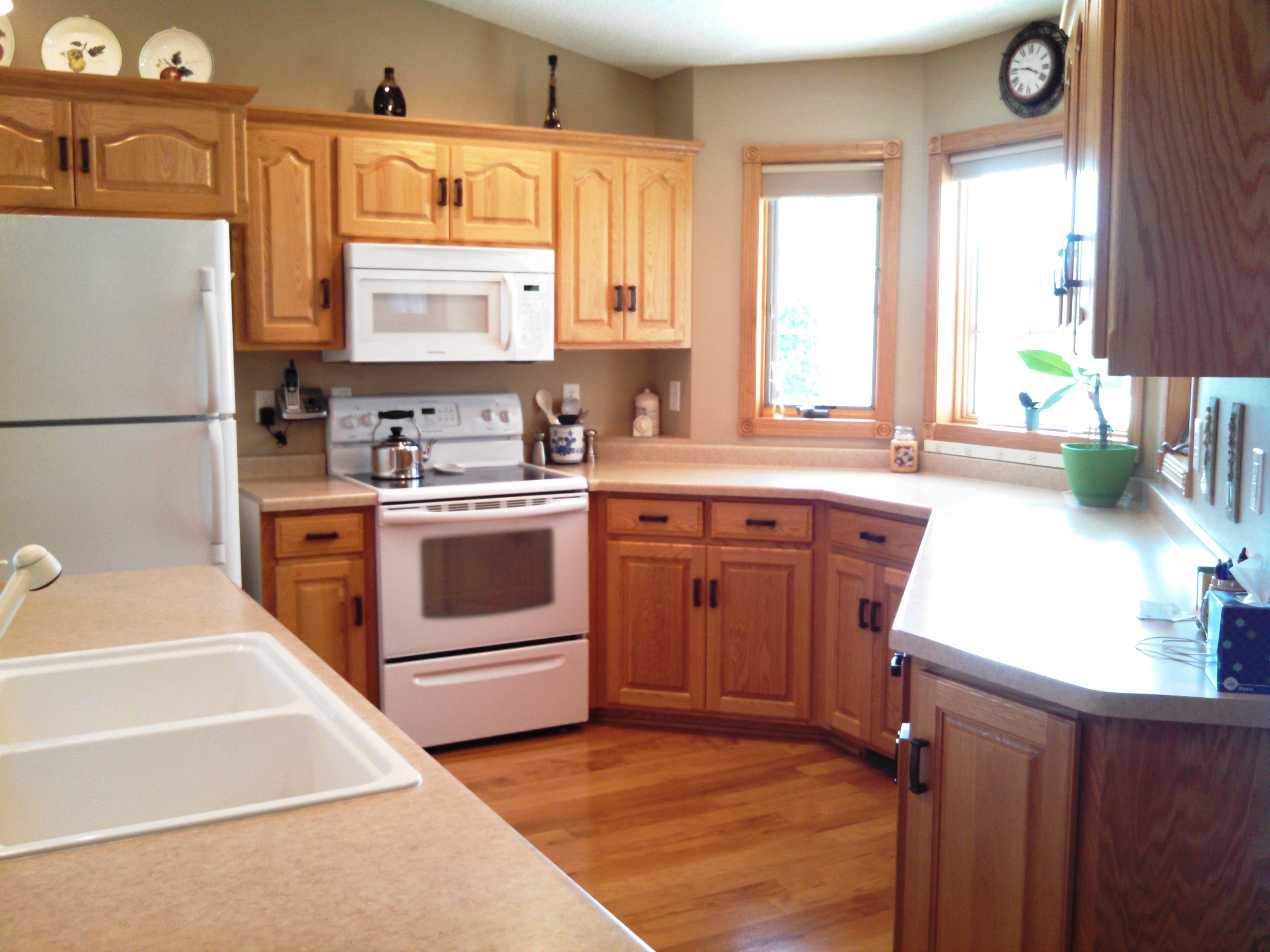 523 Buffalo Run Road Townhome in Buffalo, MN