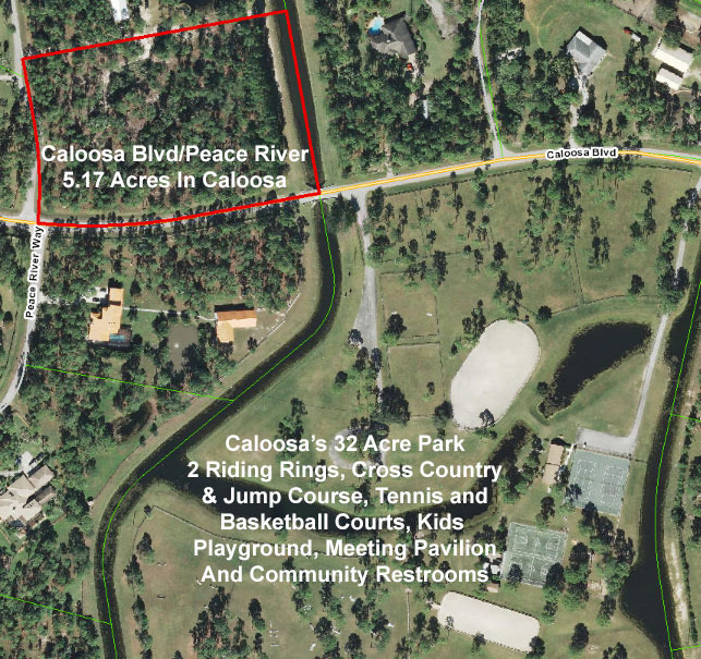 Highest Lot By Central Park For Sale In Caloosa!
