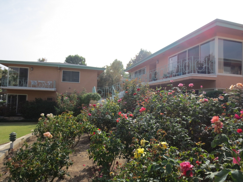 Pasadena Ca 1000 San Pasqual MidCentury Condos For Sale Market Update