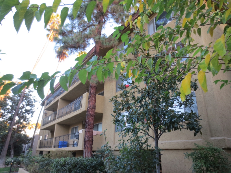 Pasadena CA Casa California Condos at 382 East California Boulevard