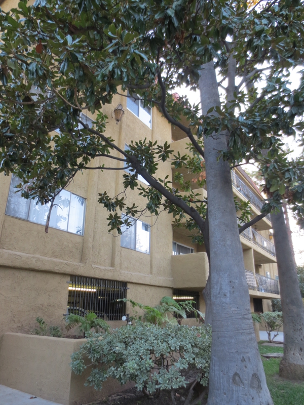 Pasadena CA Casa California Condos at 382 East California Boulevard