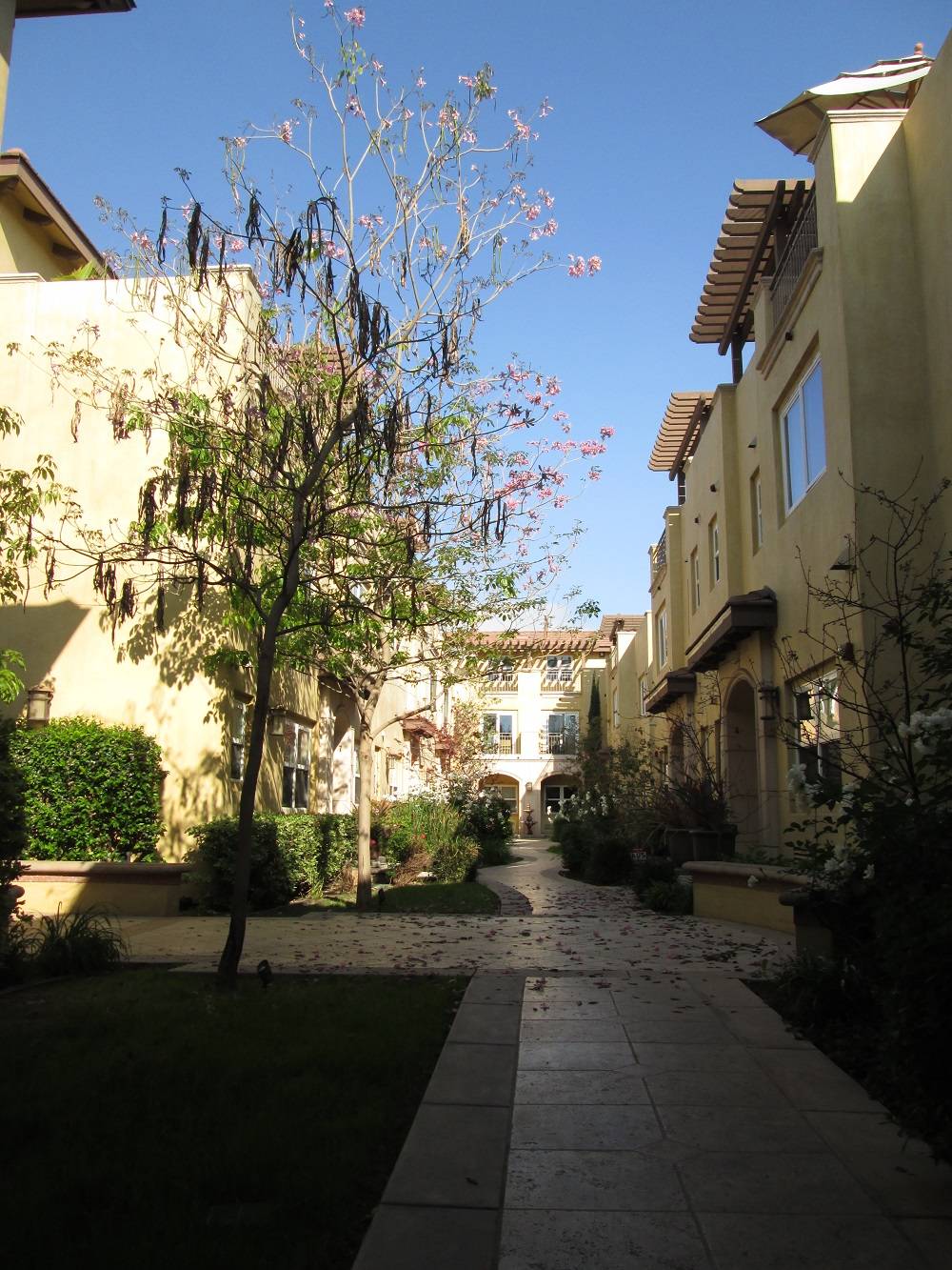 Pasadena CA Mediterranean Townhomes at 480 S Los Robles