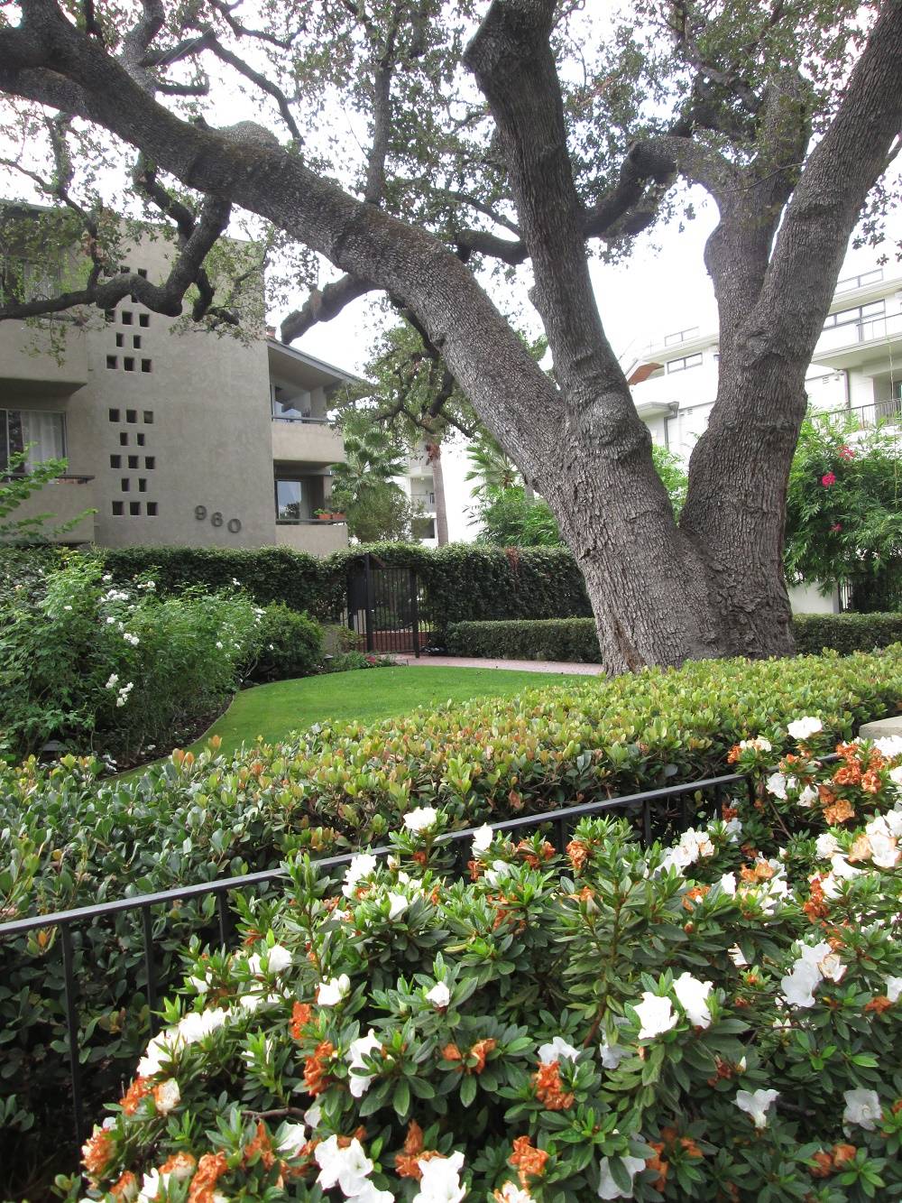 Pasadena CA Condos at 960 San Pasqual Street For Sale