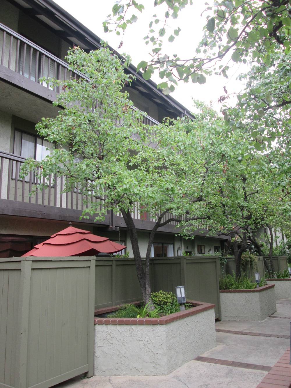 Pasadena CA Condos 330 Cordova St Cordova Park Villas