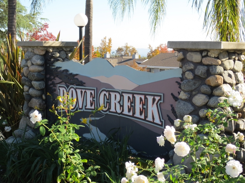 Dove Creek in Pasadena