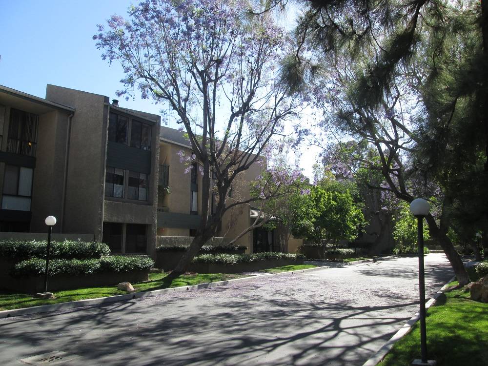 Los Angeles Hudson Terrace Monterey Hills Condos