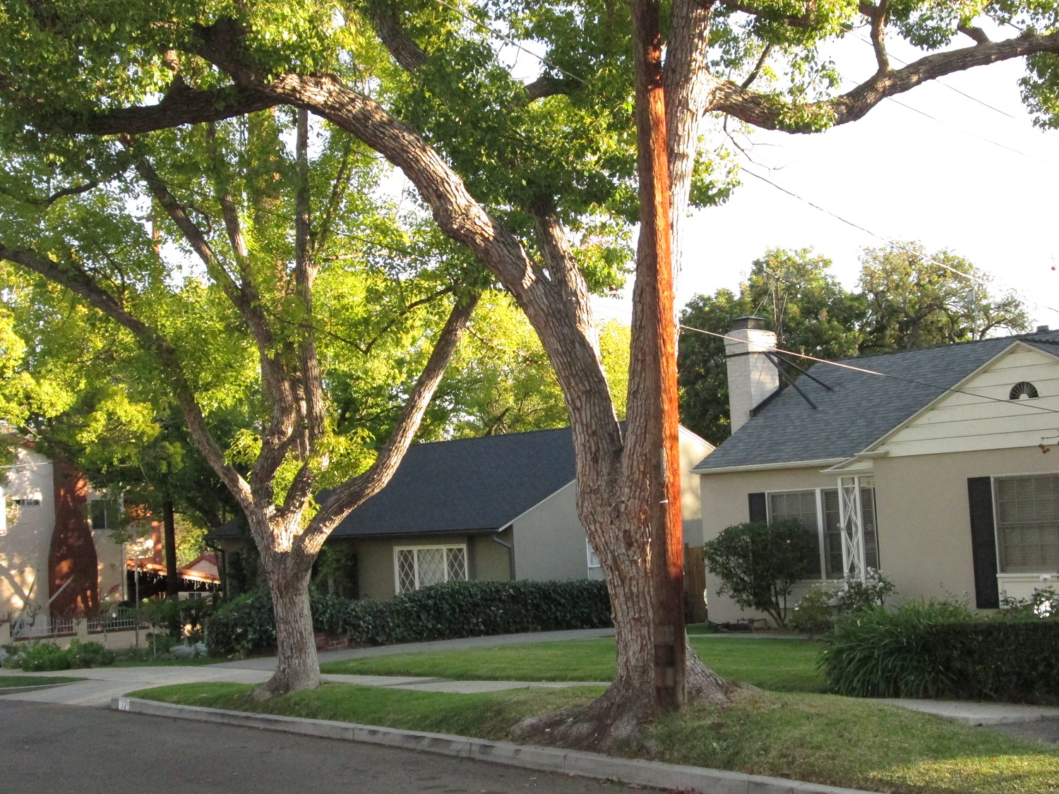 Pasadena CA Grace Hill Homes for Sale and Market Update January 2014