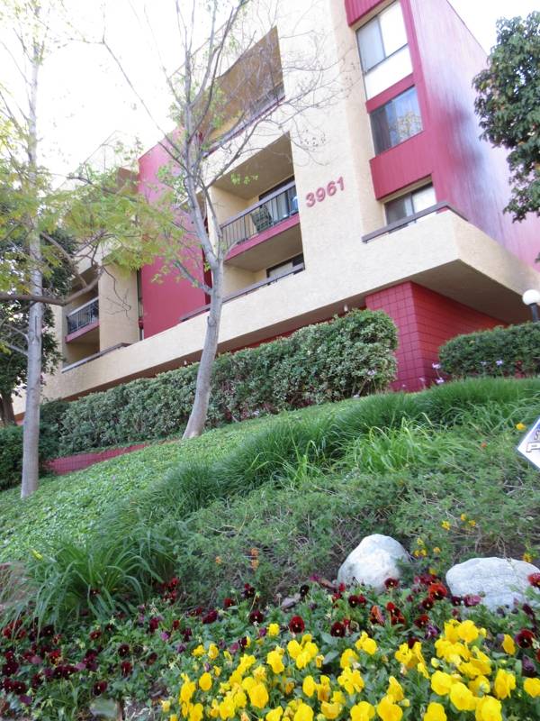 Affordable Monterey Hills Condos Muir Terrace