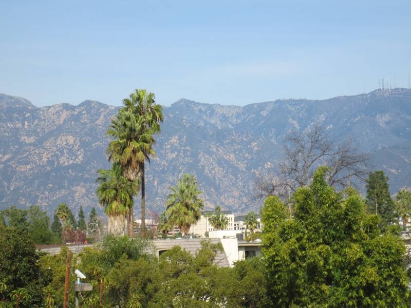 Pasadena Madison Heights Condos 484 East California Bl