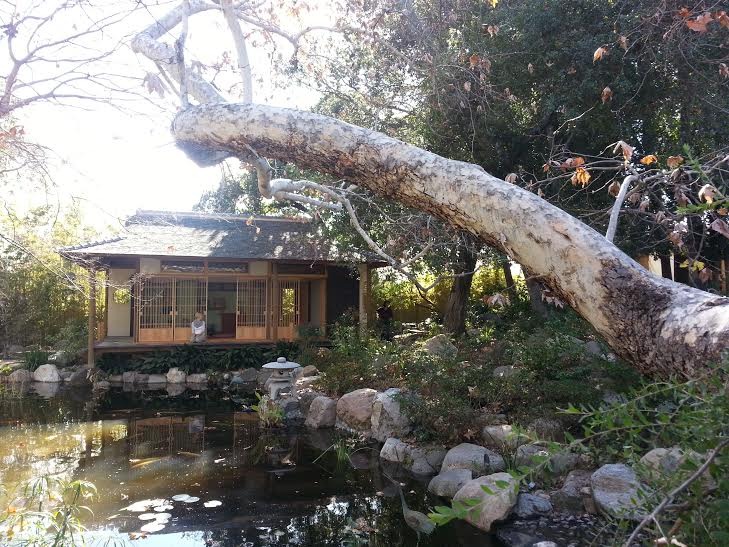 Discover The Storrier Stearns Japanese Garden Pasadena