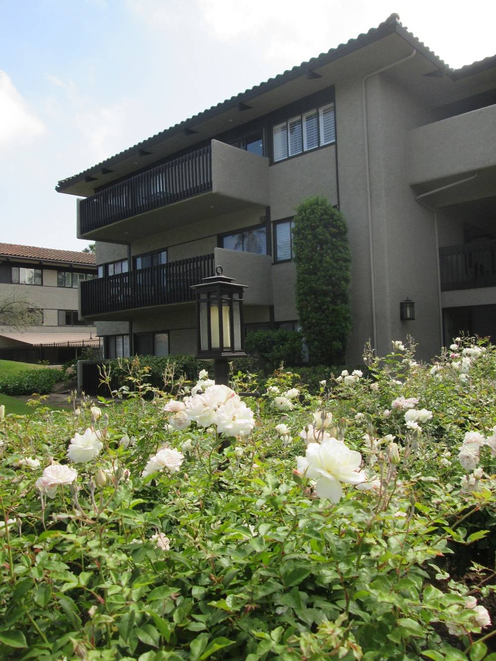 Pasadena CA Millionaires Row Condos Townhomes For Sale