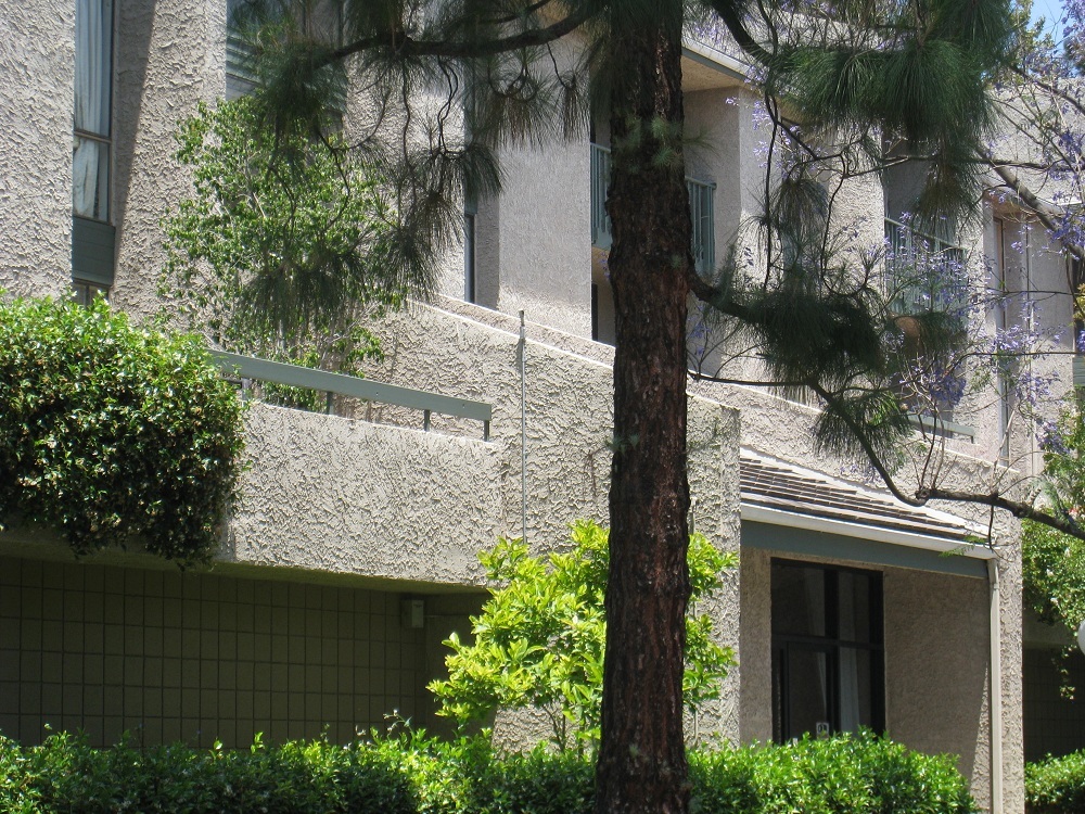 How Are Monterey Hills Condos Selling So Far This Year?