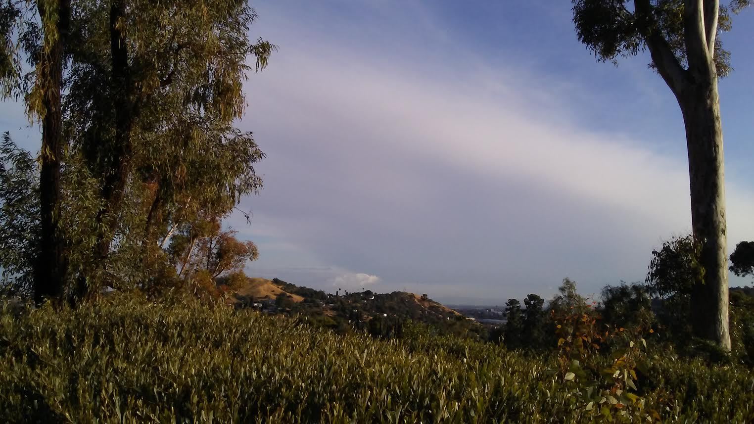 Strong Real Estate Sales in Monterey Hills