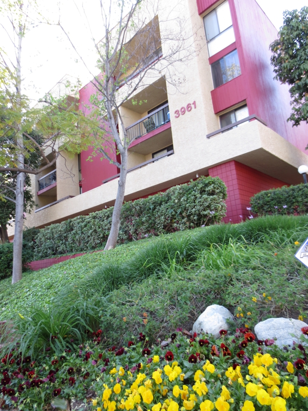 Los Angeles CA Muir Terrace Monterey Hills Condos 2014 MidYear Update