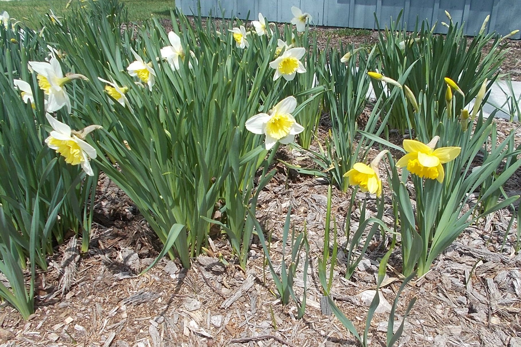 Your Door County Real Estate Market Update 2018