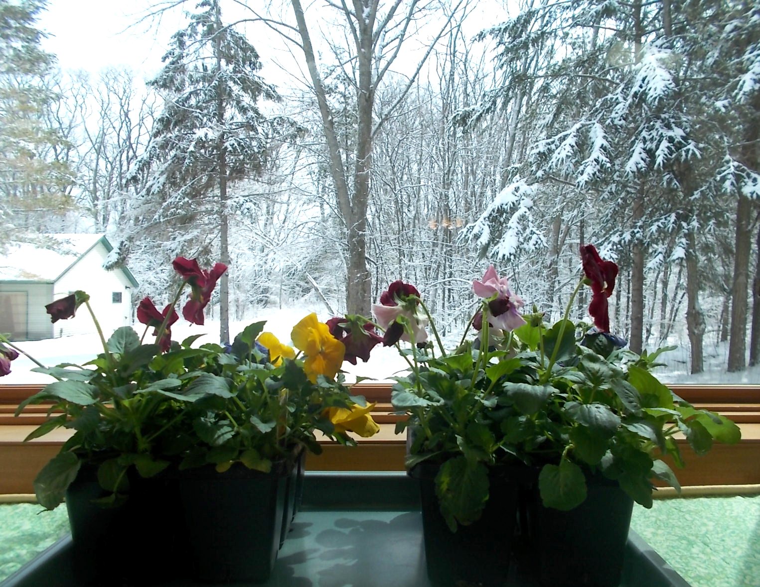 Door County Listings Winter 2020 Properties for Sale