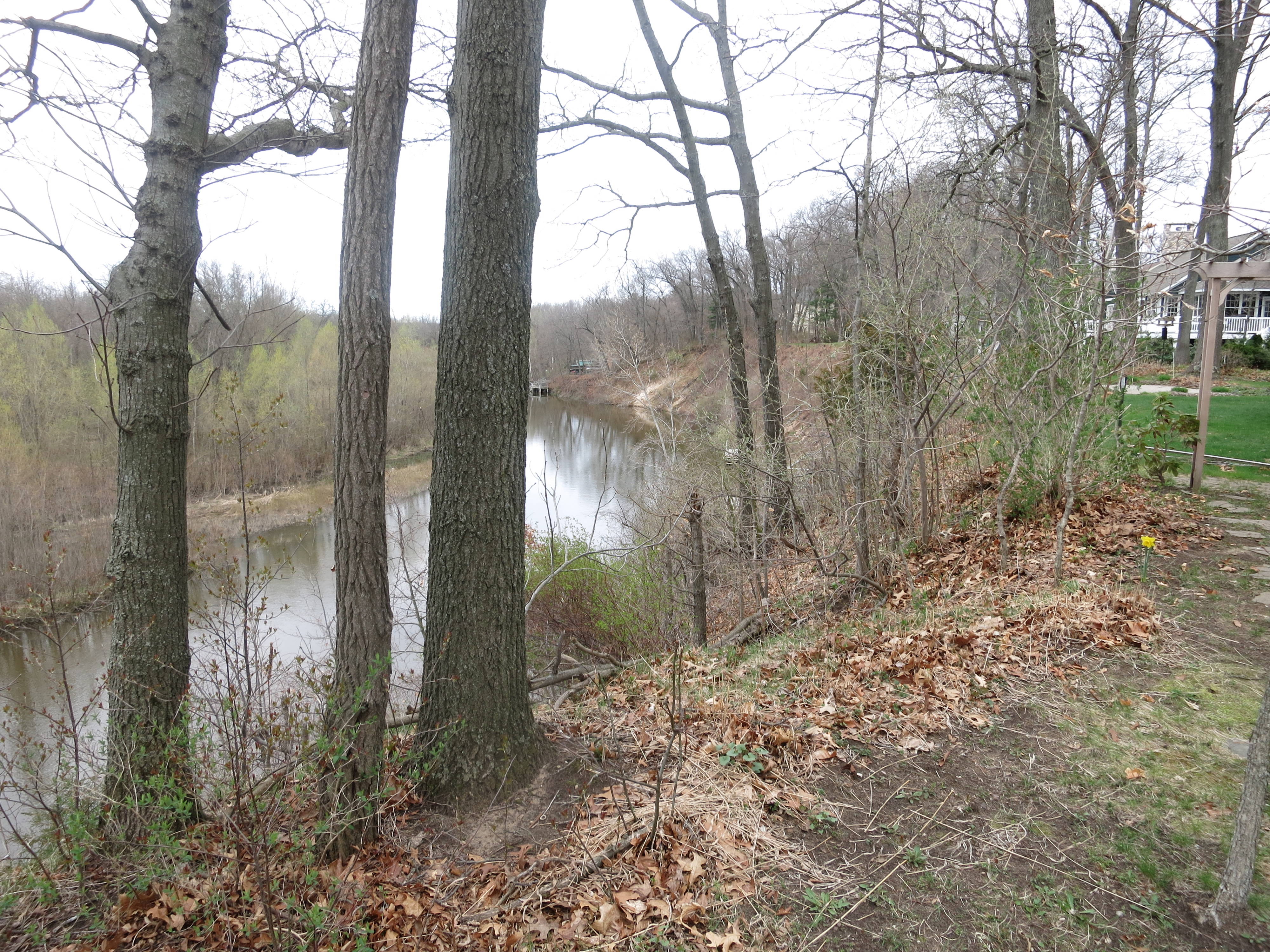 Beautiful wooded riverfront lot in Saugatuck Twp, MI